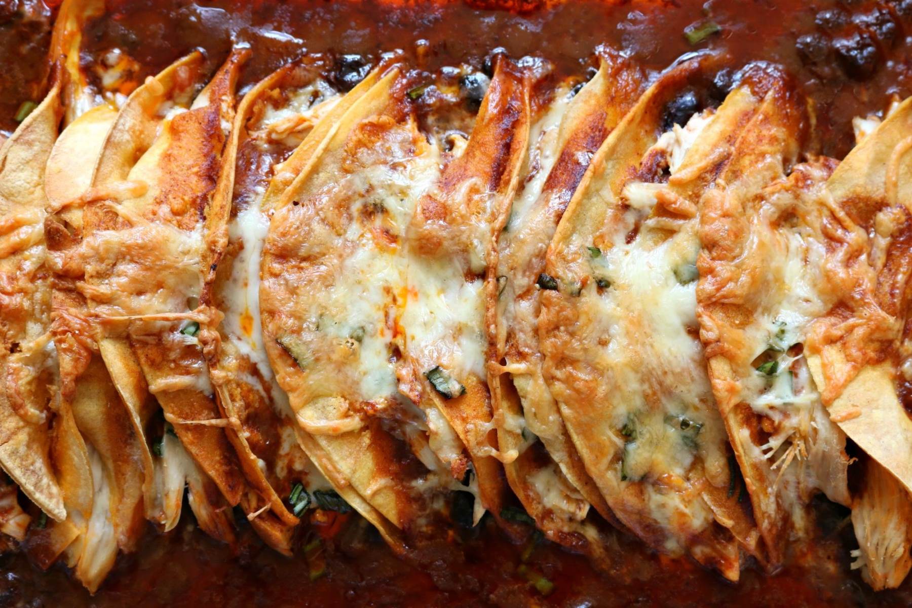 Why Taco Enchilada Casserole is Your Next Crowd-Pleasing Dinner